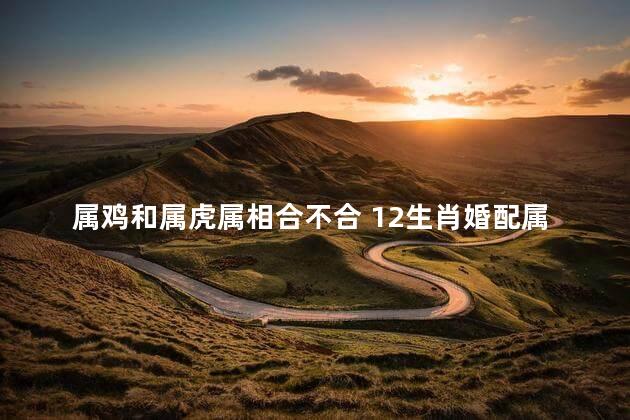 属鸡和属虎属相合不合 12生肖婚配属相配对表